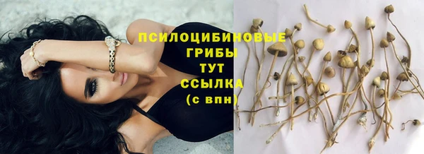 амфетамин Алзамай