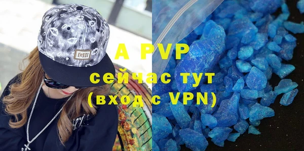 стафф Ростов