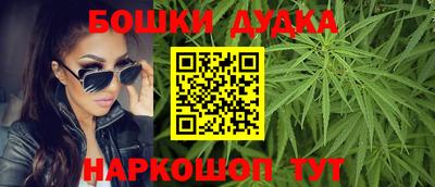 крисы Гагарин