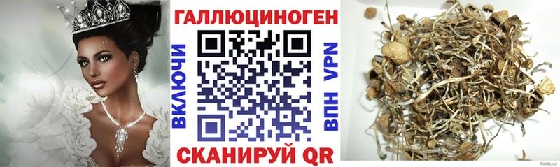 hydra ССЫЛКА  Ивантеевка  Псилоцибиновые грибы Cubensis 