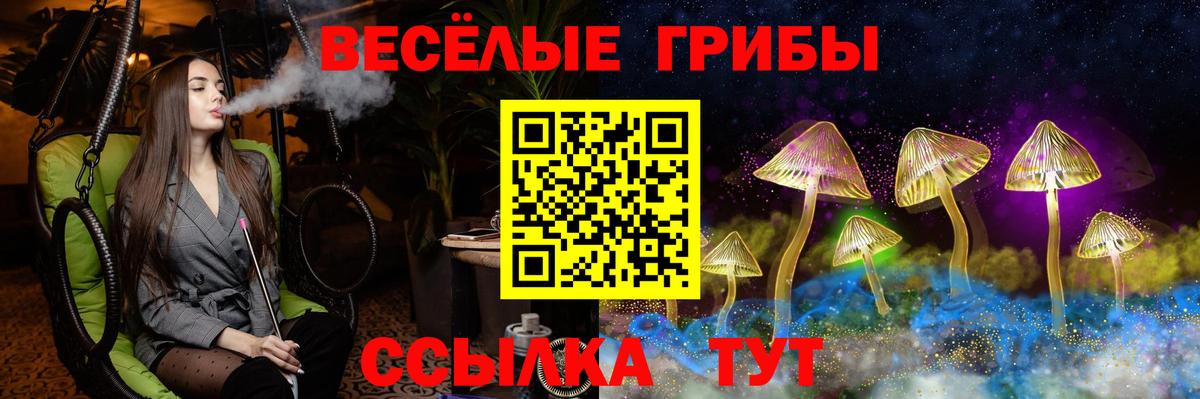 Псилоцибиновые грибы Psilocybine cubensis Ивантеевка