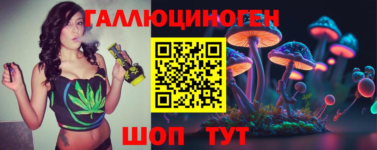 Псилоцибиновые грибы Psilocybe  Псилоцибиновые грибы Psilocybe  закладки  Вход с VPN  Ивантеевка 