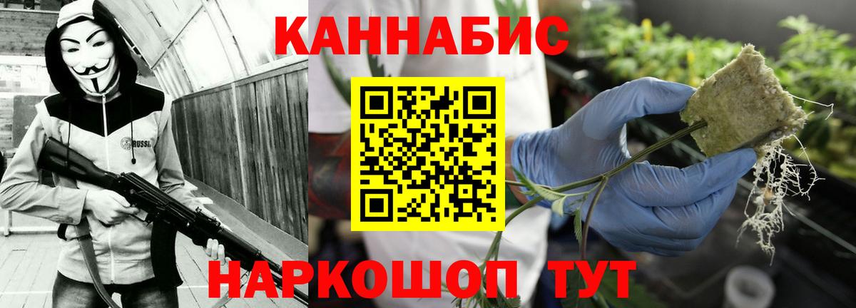 Бошки Шишки план Ивантеевка